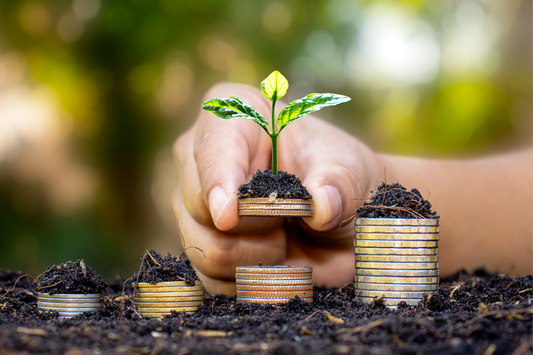 Ilustrasi Financial Freedom Day