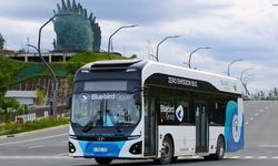 Harga BBM Melonjak, Pemerintah Australia Didesak Gunakan Bus Listrik