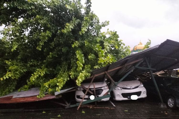 Pohon tumbang menimpa garasi mobil di Asrama TNI AD Wantilan 2, RT Gotong Royong, Kuta, Badung, pada Senin (10/2/2025) sekitar pukul 06.00 Wita. 