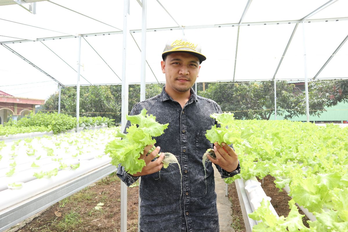 Ginanjar Ibnu Tamimi di kebun hidroponik miliknya di Samarinda.