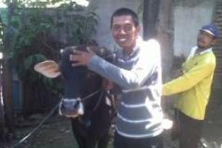 Bambang bersama sapi yang akan dikurbankan seharga Rp 13.000.000.
