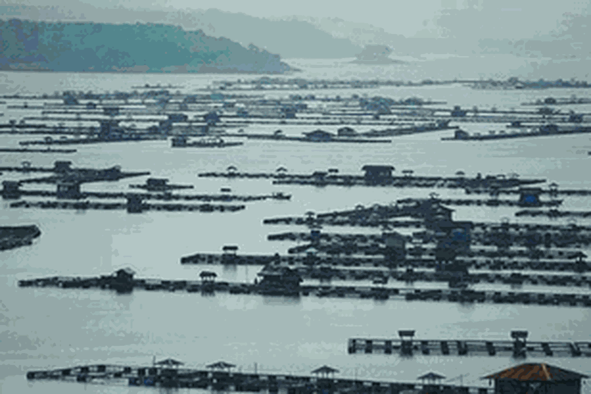 Waduk Cirata di Desa Cijati, Kecamatan Maniis, Kabupaten Purwakarta, Jawa Barat.