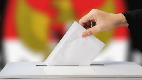 CEK FAKTA: Jokowi Sebut 41 Kotak Kosong di Pilkada 2024 adalah Kenyataan Demokrasi