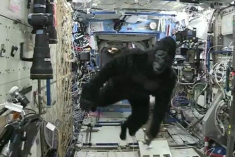 Astronot Scott Kelly menggunakan pakaian gorila di ISS.