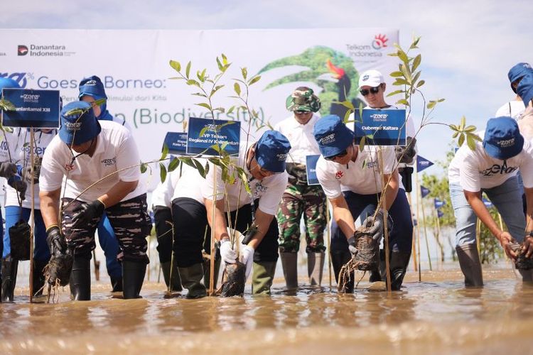 Peringati Hari Keanekaragaman Hayati Internasional, PT Telkom Indonesia (Persero) Tbk (Telkom) menanam 5.000 bibit mangrove di pesisir Pantai Batu Perawan, Tarakan, Kalimantan Utara (Kaltara), pada Rabu (14/5/2025) hingga Kamis (15/5/2025).