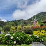Merapi Garden Boyolali, Taman Bunga Indah Berlatar Gunung Merapi