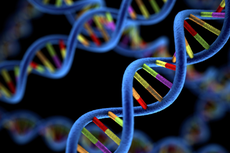 Dampak Baik dan Buruk dari Mutasi Genetik