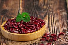 Simak, Cara Menanam Kacang Merah yang Benar