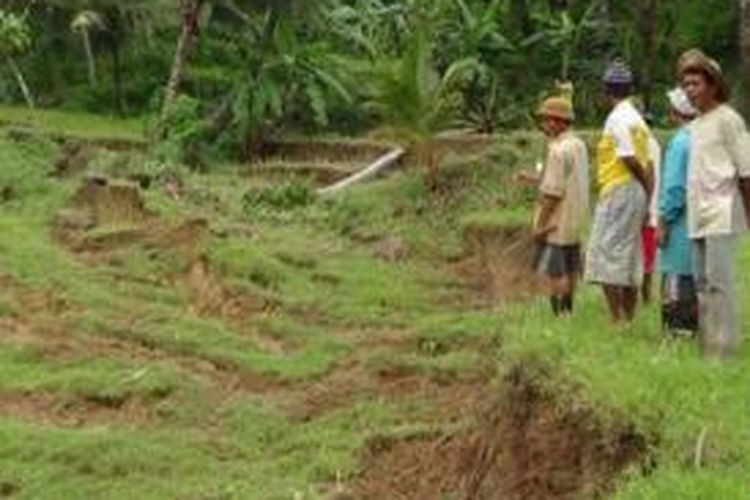 Tanah persawahan di Desa Pasongsongan, Kecamatan Pasongsongan, Kabupaten Sumenep, ambles 6-8 meter. Rumah warga yang berdekatan dengan lokasi amblesnya, tanah retak-retak.