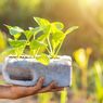 Hai Pencinta Lingkungan, Simak 4 Inspirasi Berkebun Tanpa Limbah