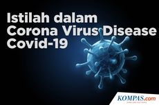 INFOGRAFIK: Daftar Istilah Terkait Virus Corona dan Covid-19