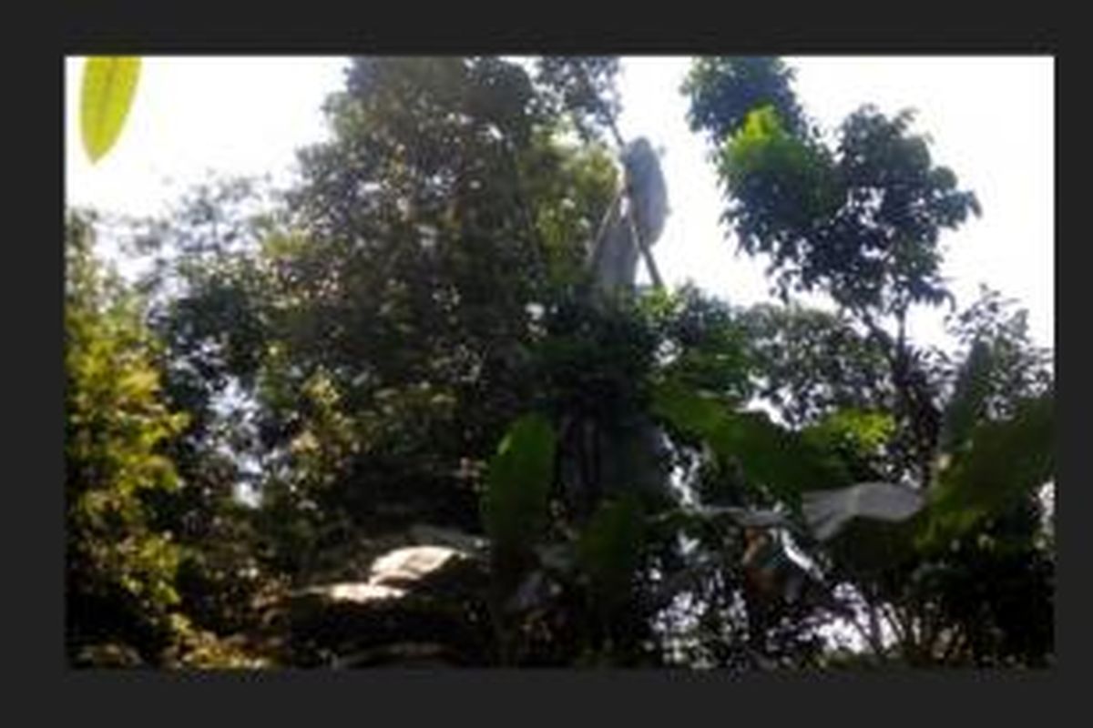 Seorang penerjun tersangkut di atas pohon, sementara seorang lainya terjun di tengah barisan prajurit TNI AD di Madivif 1/Kostrad Cibinong, Depok, Jumat (26/9/2014). 