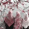Perdebatan Panjang soal Hukum Khitan Perempuan, dari Fikih hingga Isu HAM