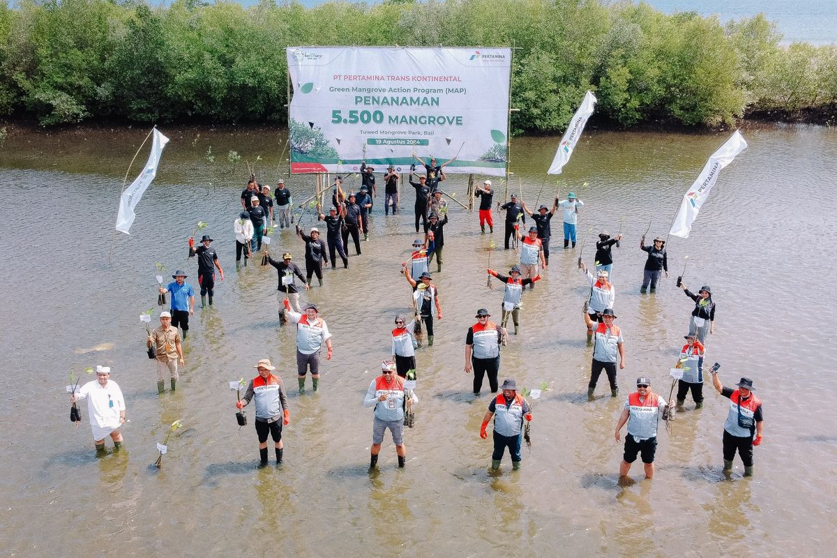 Pertamina Trans Kontinental Tanam 5.500 Bibit Mangrove di Bali