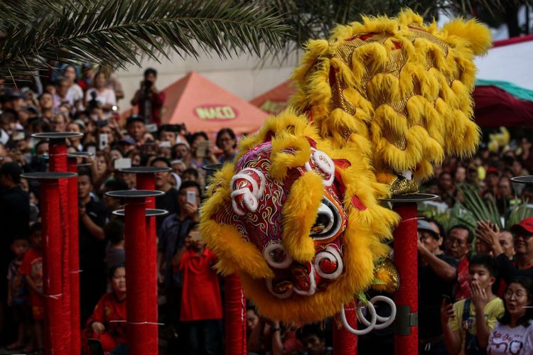 Atraksi barongsai saat perayaan Cap Go Meh di Jalan Pancoran, Petak Sembilan, Glodok, Jakarta Barat, Selasa (19/2/2019). Perayaan Cap Go Meh bertajuk Festival Pecinan ini berlangsung hingga Rabu (20/2/2019).