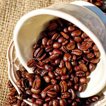 Ilustrasi kopi, biji kopi.