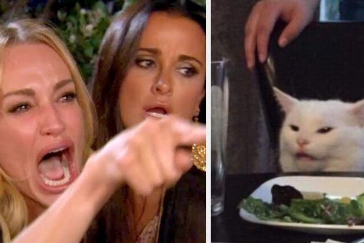Meme wanita dan kucing tengah populer di media sosial. 