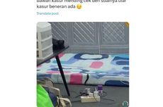 Ular Bersembunyi di Bawah Kasur, Ketahui Penyebab dan Tips Pencegahannya