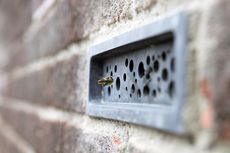 Perusahaan Inggris Ini Ciptakan Batu Bata yang Bisa Jadi Sarang Lebah
