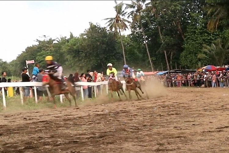 Menteri Pemuda dan Olahraga (menpora) RI, Dito Ariotedjo kembali menyaksikan tradisi pacuan kuda di Kabupaten Kebumen, Jawa Tengah. 