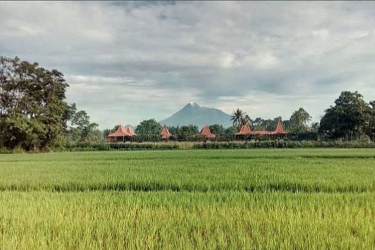 Desa Tamanmartani, Kecamatan Kalasan, Kabupaten Sleman, DI Yogyakarta. 