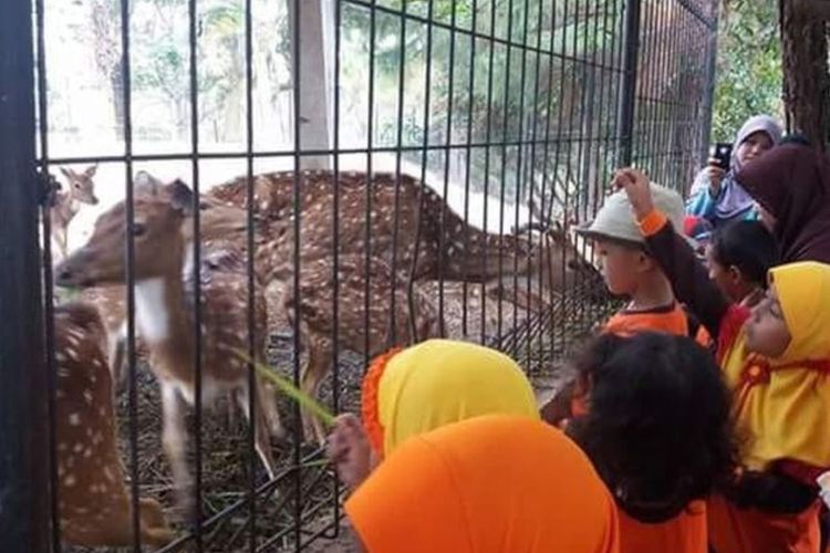 Alam Wisata Cimahi, Tempat Wisata Keluarga dengan Berbagai Aktivitas Outdoor