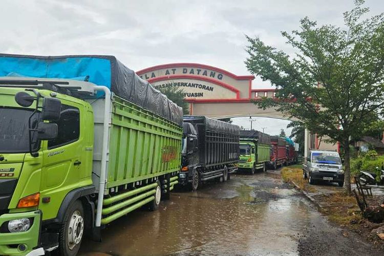 Picu Kemacetan Panjang, 113 Truk Sumbu Tiga Dikandangkan di Jalintim Palembang-Jambi