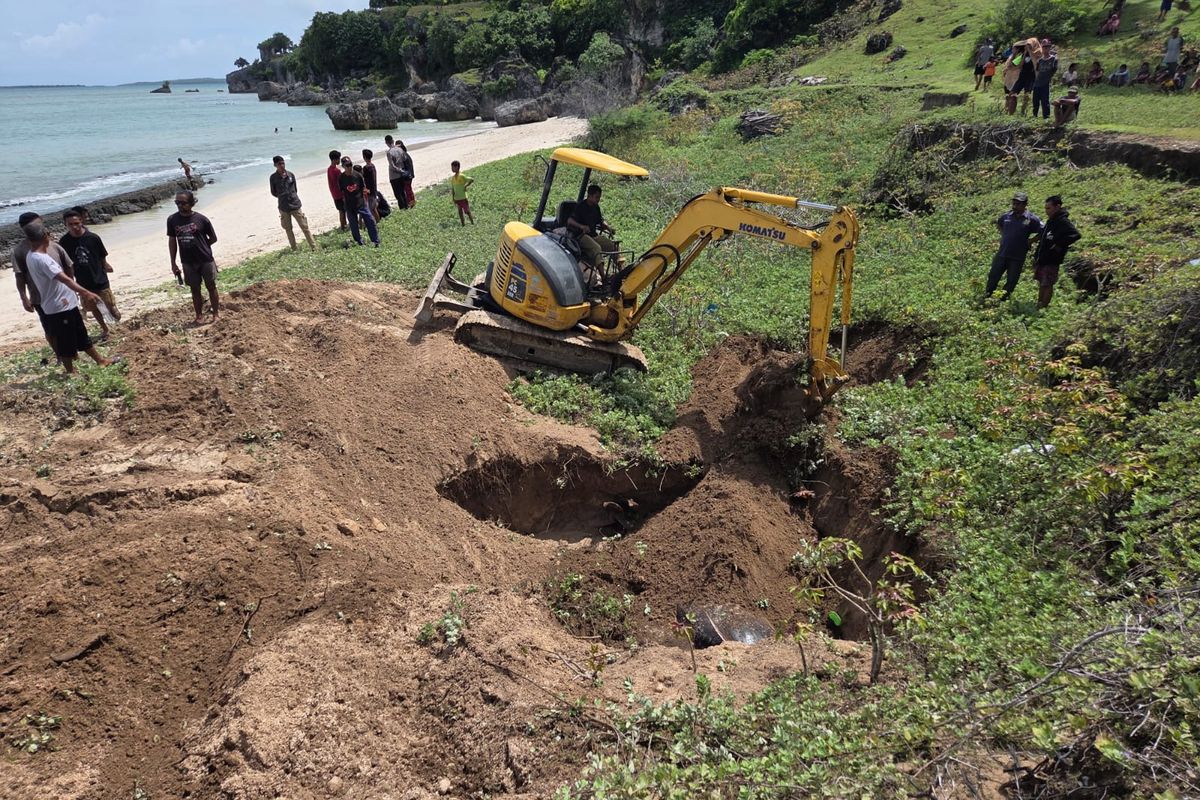 Sebanyak 21 ekor paus yang mati setelah terdampar di Pantai Mbadokai, Desa Deranitan, Kecamatan Rote Barat Daya, Kabupaten Rote Ndao, Nusa Tenggara Timur (NTT), dikuburkan di sekitar area pantai pada Selasa (10/3/2026) sore.