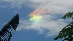 Langit Manado Tampak Warna-warni Saat Pilkada, Ini Penjelasan BMKG