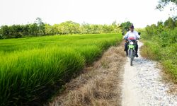 Pengamat Puji Kebijakan Mentan Amran Tingkatkan Pertanian Indonesia