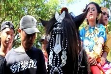 105 Kuda Keliling Kota Jadi Tontonan Warga Majene, Sulawesi Barat