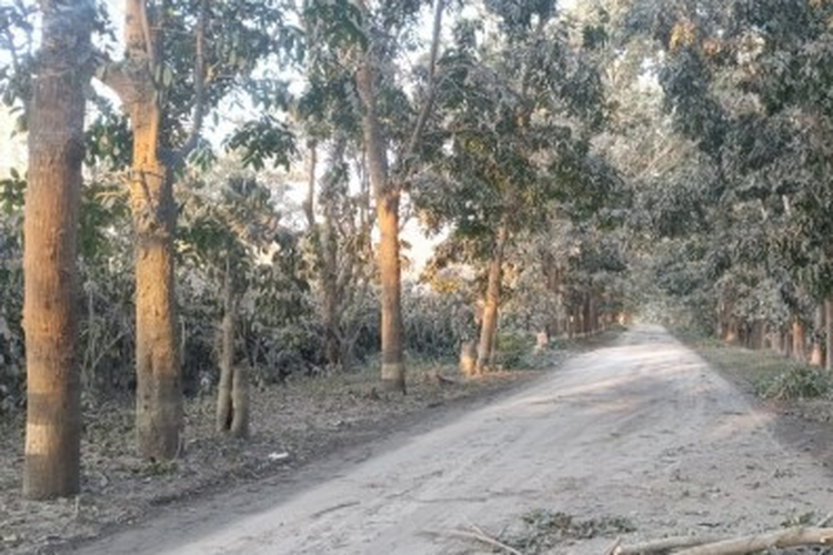 Kementerian PU Kirim Alat Berat, Buka Akses Logistik Korban Erupsi Flores