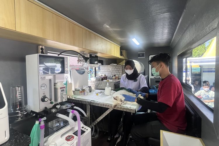 Jakarta Punya Klinik Hewan Keliling, Bisa USG hingga Operasi Kecil