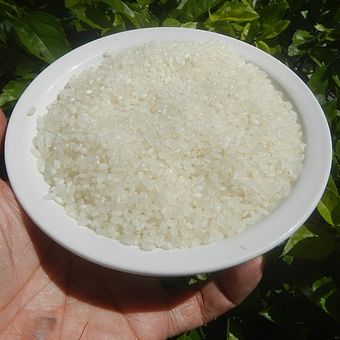 ilustrasi beras jepang. 