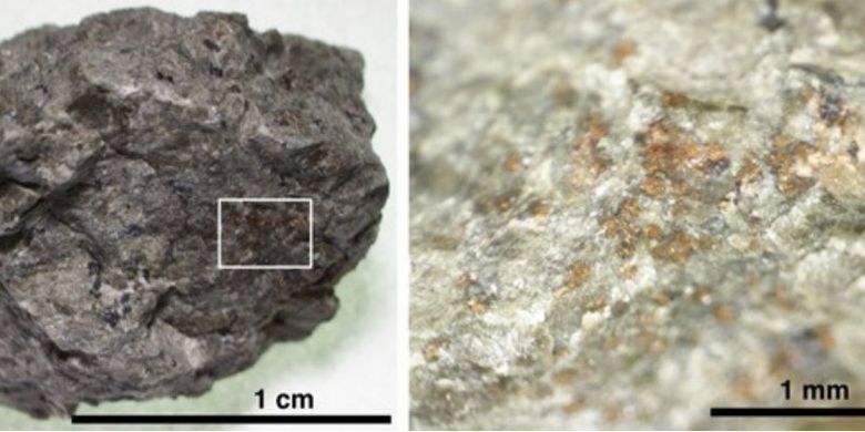 Meteorit tersebut diperkirakan meluncur dari Mars sekitar 16 juta tahun lalu. Meteorit bernama ALH84001 tersebut ditemukan di Allan Hills, Antartika, pada 1984.