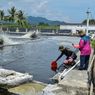 Climate Smart Shrimp, Inovasi Cara Dapat Cuan dari Udang Sekaligus Perbaiki Lingkungan