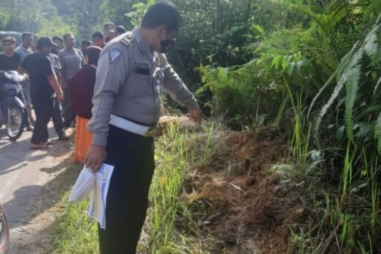 Petugas kepolisian melakukan olah tempat kejadian perkara di lokasi kecelakaan di kawasan Buluh Didi, Desa Tanjung Mulia, Kecamatan STTU Jehe, Kabupaten Pakpak Bharat, Sumatera Utara, Minggu (12/12/2021). 
