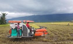 Bupati Merauke Minta Petani Segera Menanam Agar Target Luas Tanam 36.155 Ha Tercapai