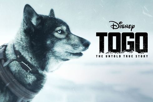 Sinopsis Togo, Anjing yang Jadi Pahlawan saat Wabah Difteri di Alaska