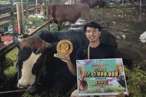 Kisah Ragil, Sapi Milik Sugiarto yang Kerap Ikut Kontes dan Dibeli Presiden Prabowo dengan Harga Rp 110 Juta