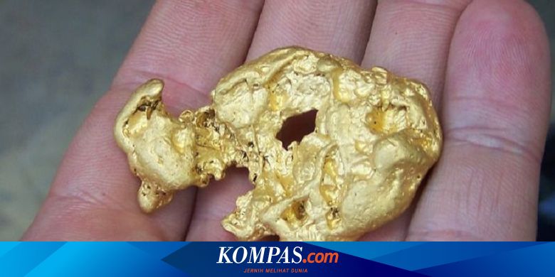 Bakteri Ini Ubah Limbah Elektronik Jadi Tambang Emas Murni ...