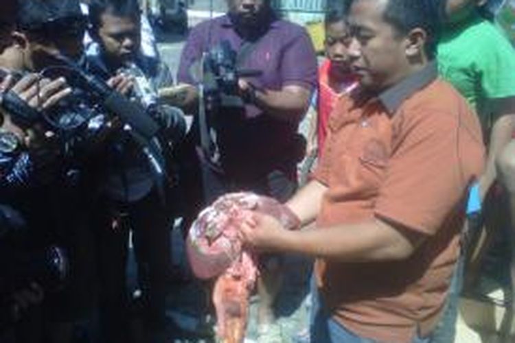 Petugas dari Dinas Pertanian Kota Kediri, Jawa Timur saat menunjukkan temuan cacing hati pada hewan kurban di Masjid Agung, Selasa (15/10/2013).