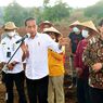 Tanam Jagung di Jeneponto, Jokowi Harap Produksi Jagung di Sulsel 1,8 Juta Ton