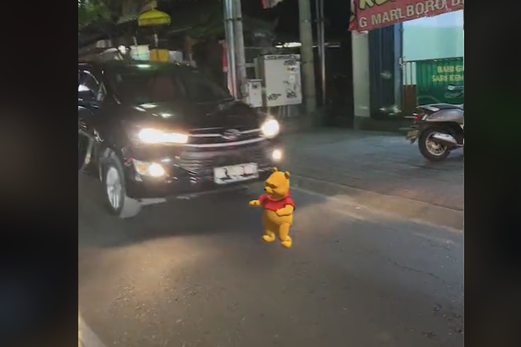 viral efek winnie the pooh di TikTok