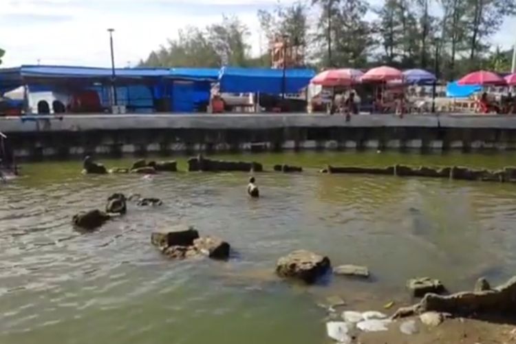 Mengenal Pantai Air Manis Lokasi Batu Malin Kundang Yang Viral Halaman All Kompas Com