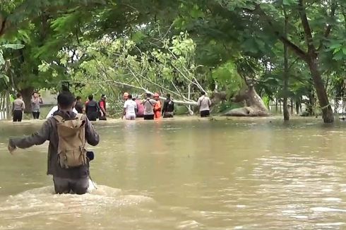 Banjir di Ngawi Meluas Rendam 35 Desa, Padi Siap Panen Rusak