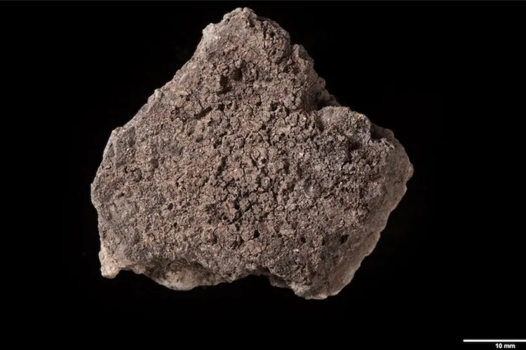Pecahan tembikar berisi sisa makanan yang dibuat 5000 tahun lalu
