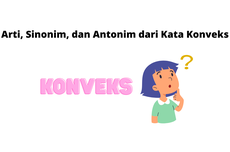 Arti, Sinonim, dan Antonim dari Kata "Konveks"