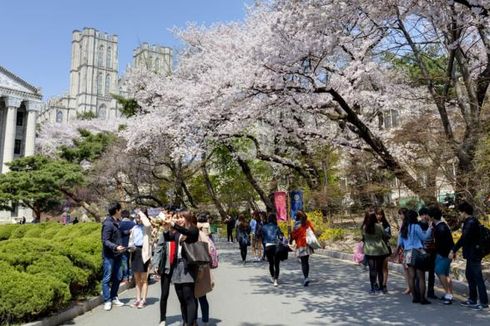 Gangwon Berbenah untuk Menarik Kunjungan Wisatawan Muslim