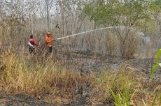 Lahan Seluas 1 Hektar di Kulon Progo Terbakar, Diduga Akibat Pembakaran Sampah